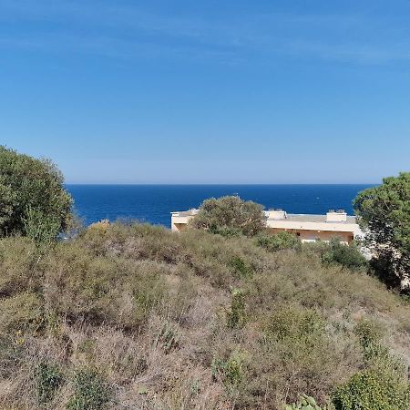 Appartement Avec Terrasse, Wifi, Parking Prive, A 2Min De La Plage Des Elmes - Banyuls-Sur-Mer - Fr-1-309-130 Экстерьер фото
