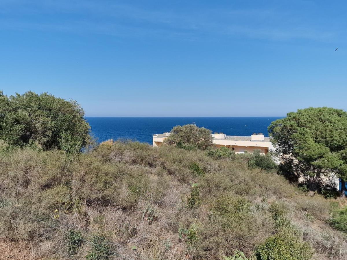 Appartement Avec Terrasse, Wifi, Parking Prive, A 2Min De La Plage Des Elmes - Banyuls-Sur-Mer - Fr-1-309-130 Экстерьер фото
